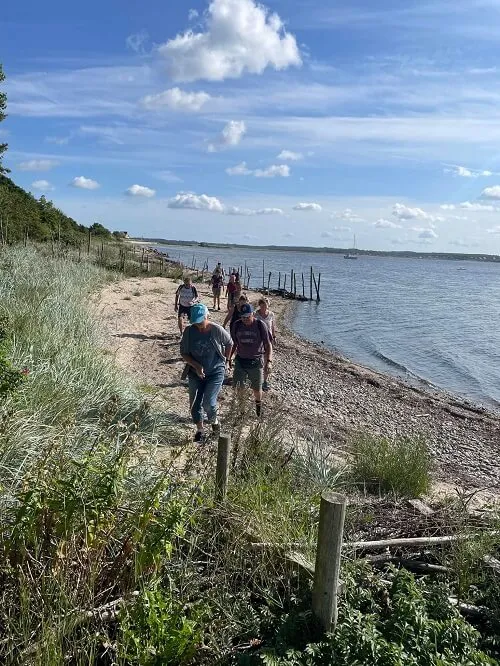 Guests walking along the beach by the Limfjord